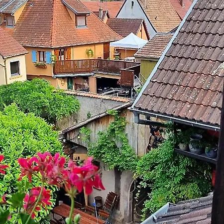 Gambrinus * Wintzenheim